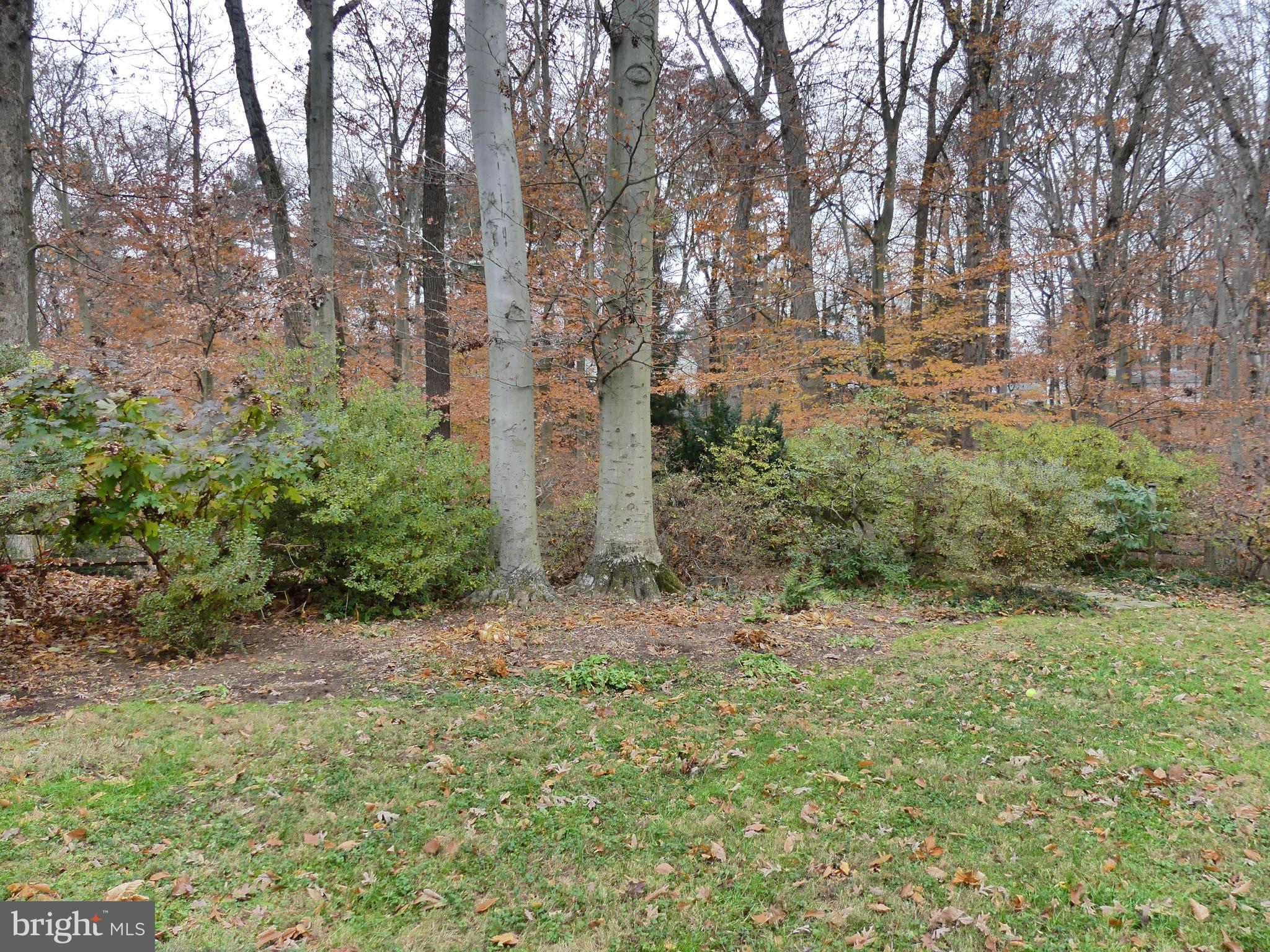 210 East Ring Factory Road Bel Air, MD 21014 - Photo 74 of 107 Gallery Image 74