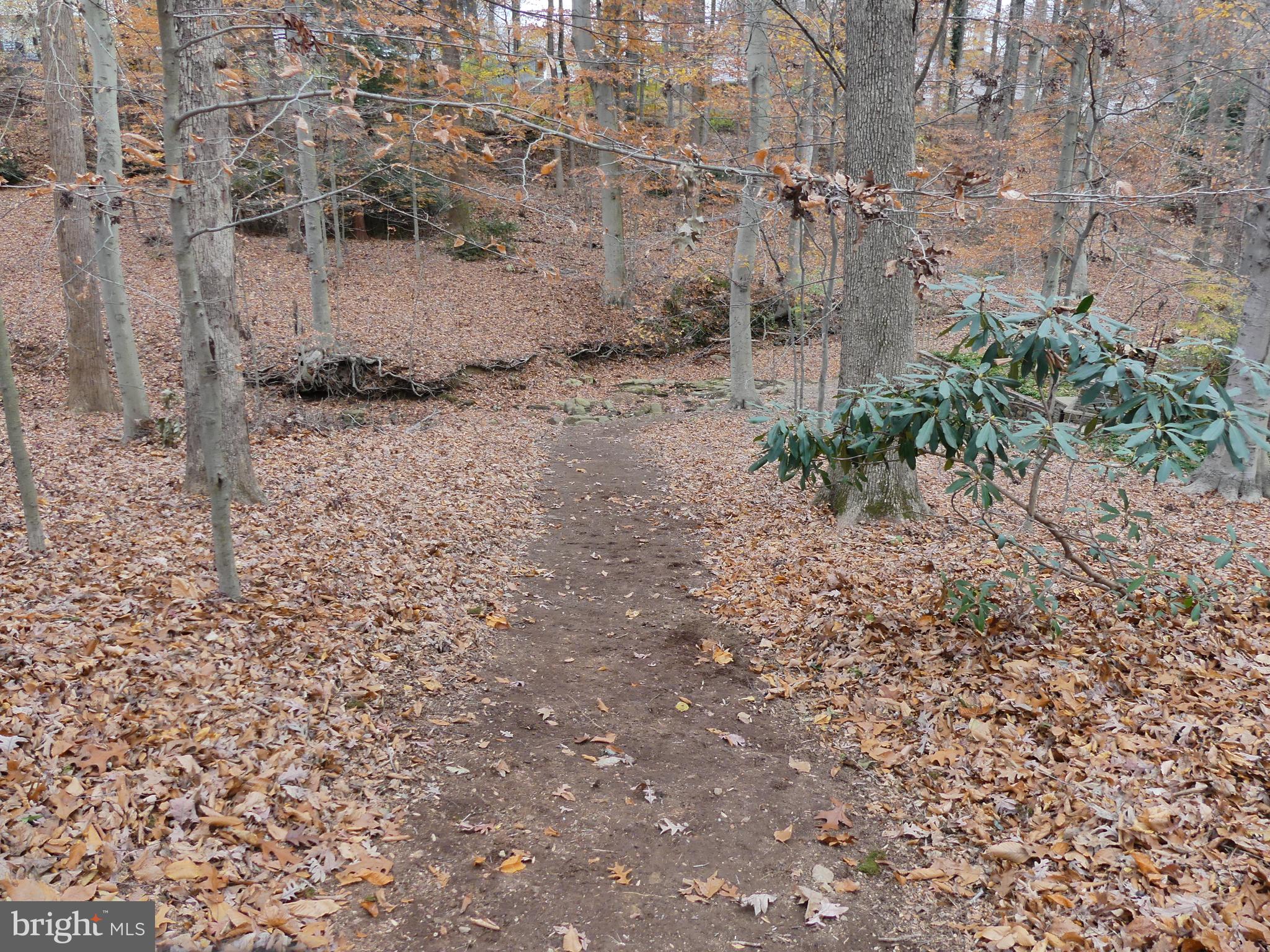 210 East Ring Factory Road Bel Air, MD 21014 - Photo 81 of 107 Gallery Image 81
