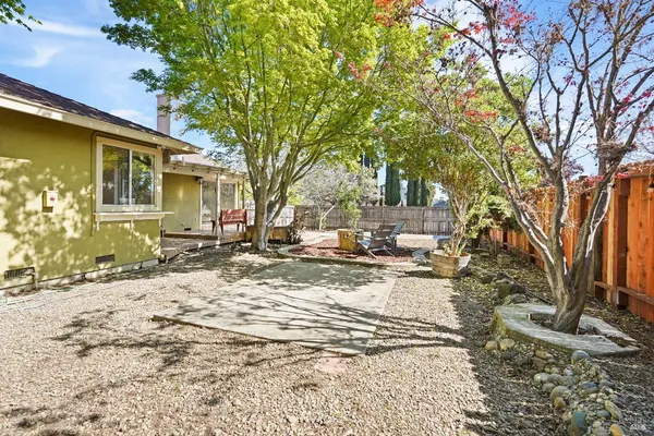 a view of a yard with a large tree