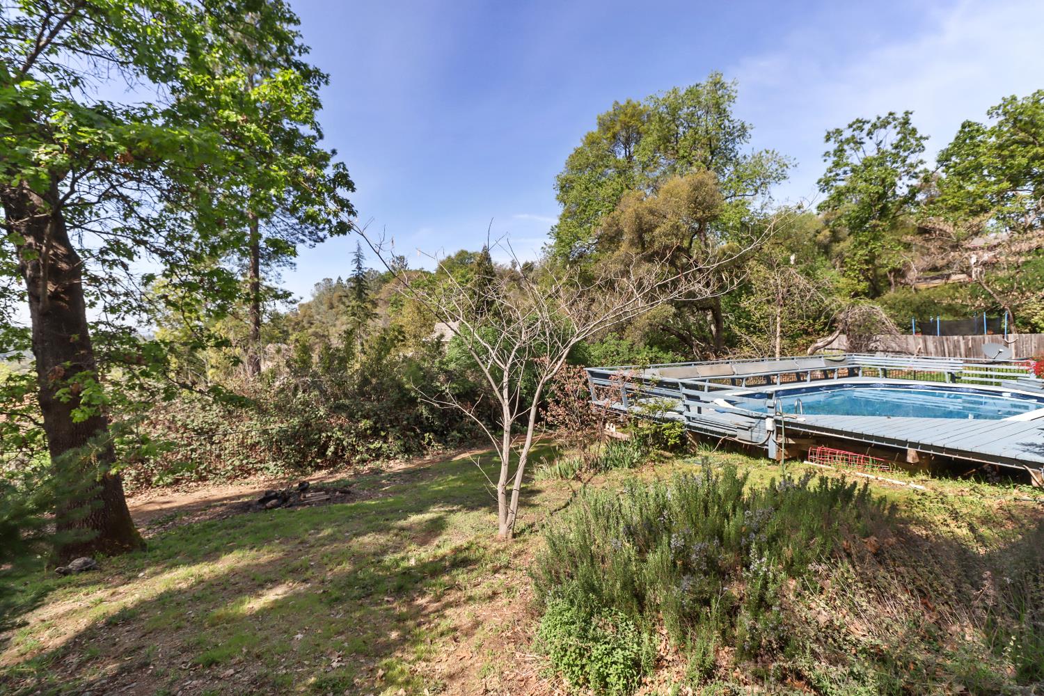 1635 Country Club Drive Placerville, CA 95667 - Photo 44 of 58 a backyard of a house with lots of green space