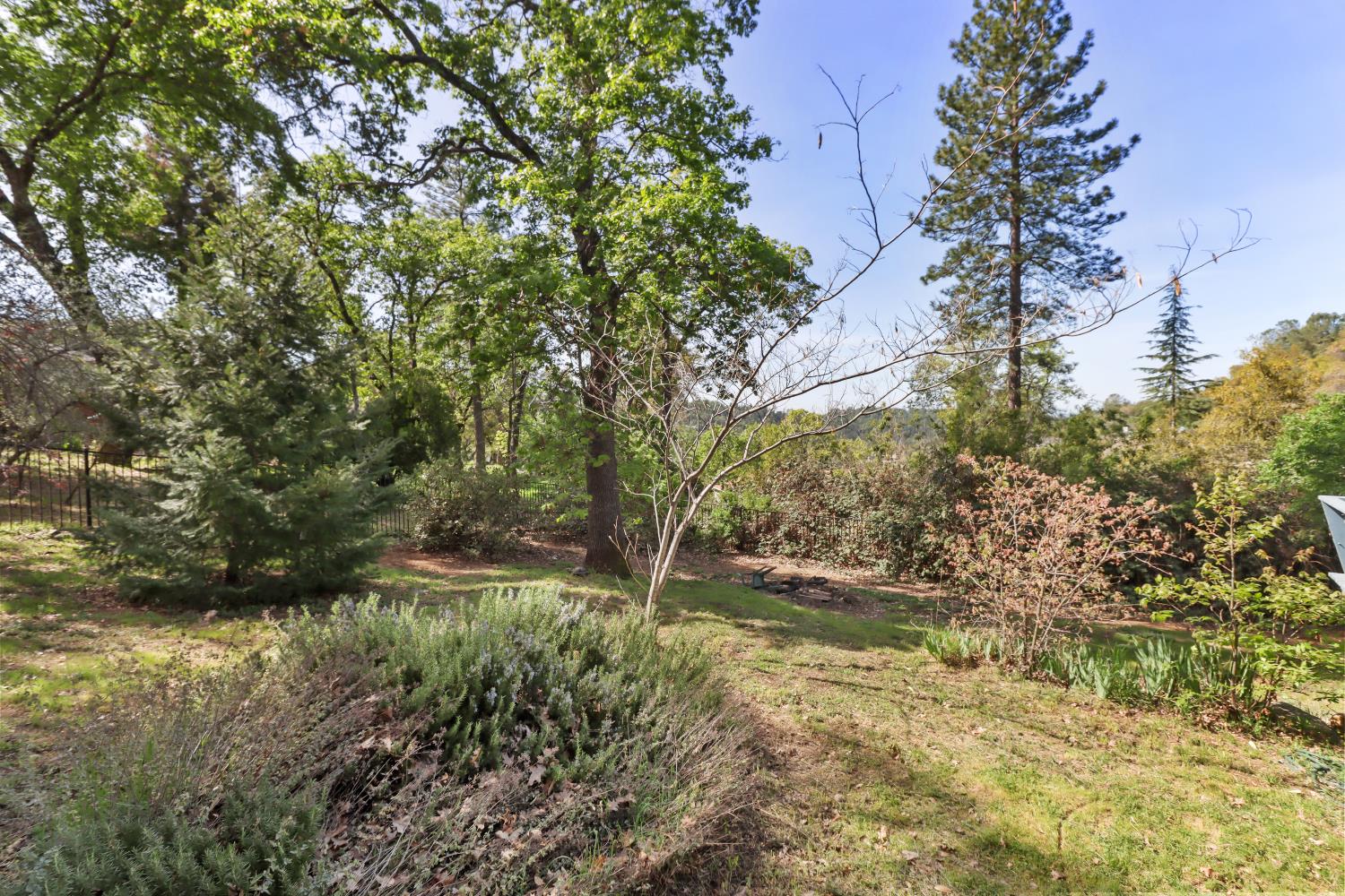 1635 Country Club Drive Placerville, CA 95667 - Photo 46 of 58 a backyard of a house with lots of green space