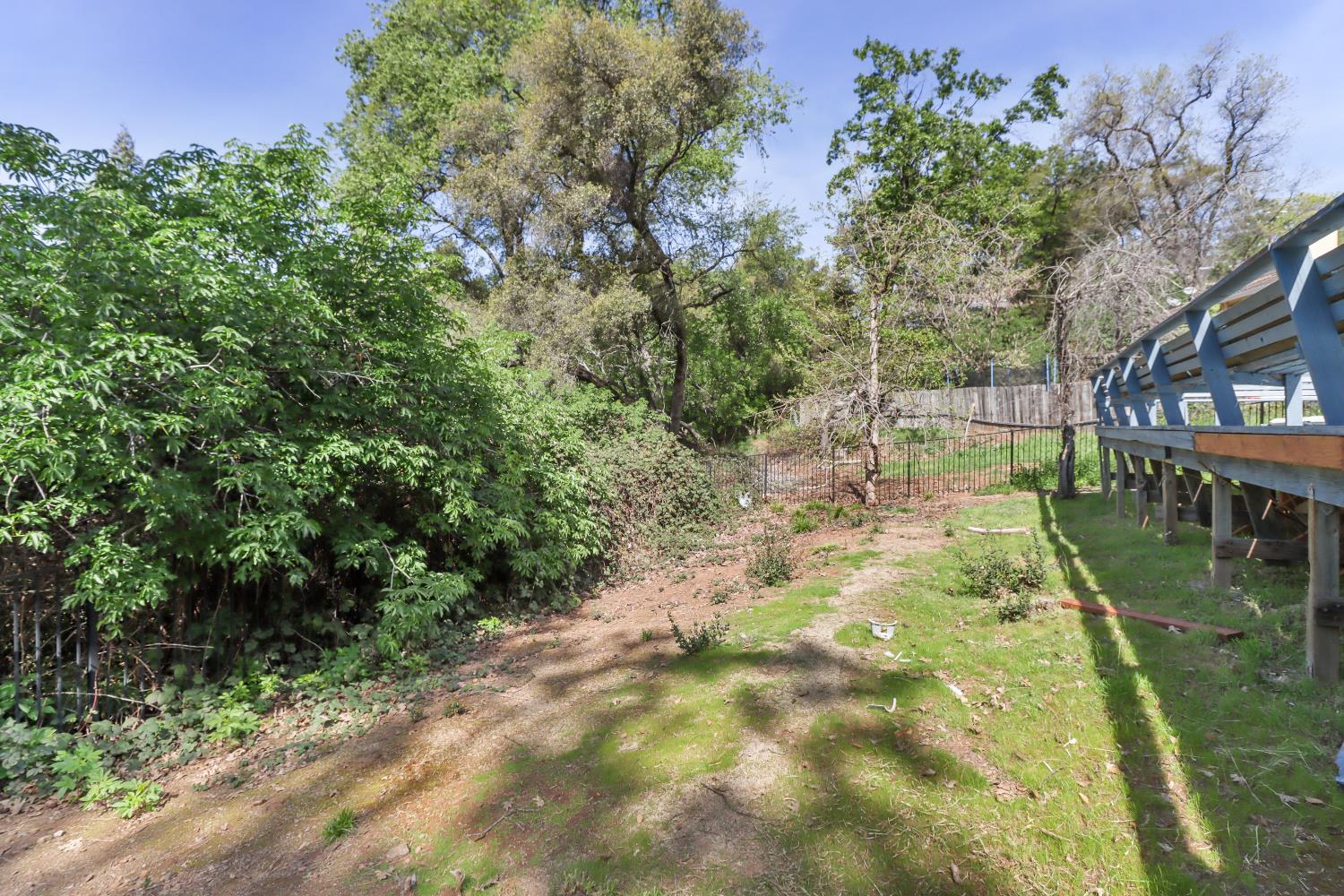 1635 Country Club Drive Placerville, CA 95667 - Photo 47 of 58 a backyard of a house with lots of green space