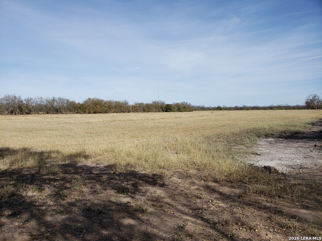 10.01-acres Abdala Road Quemado, TX 78832 - Photo 10 of 15