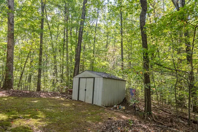 a view of a backyard