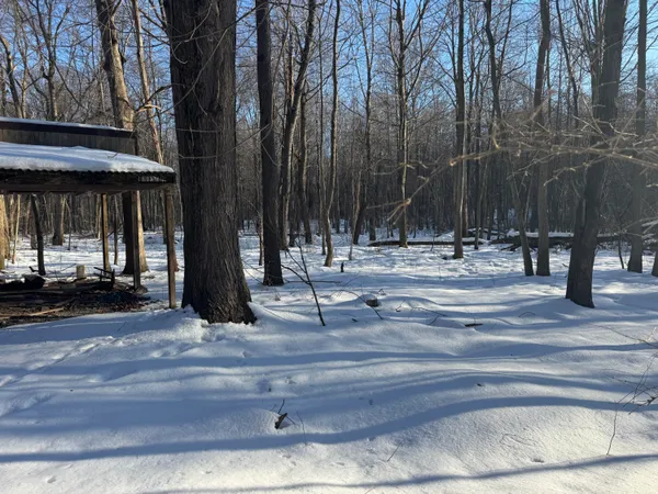 a view of a yard covered with snow
