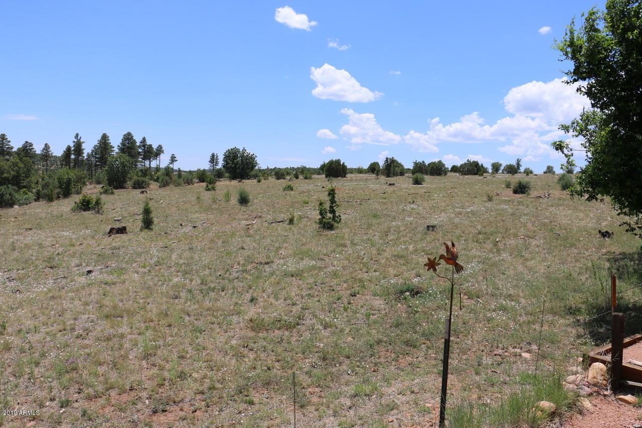 2213 Rodeo Road Overgaard, AZ 85933 - Photo 29 of 49 28