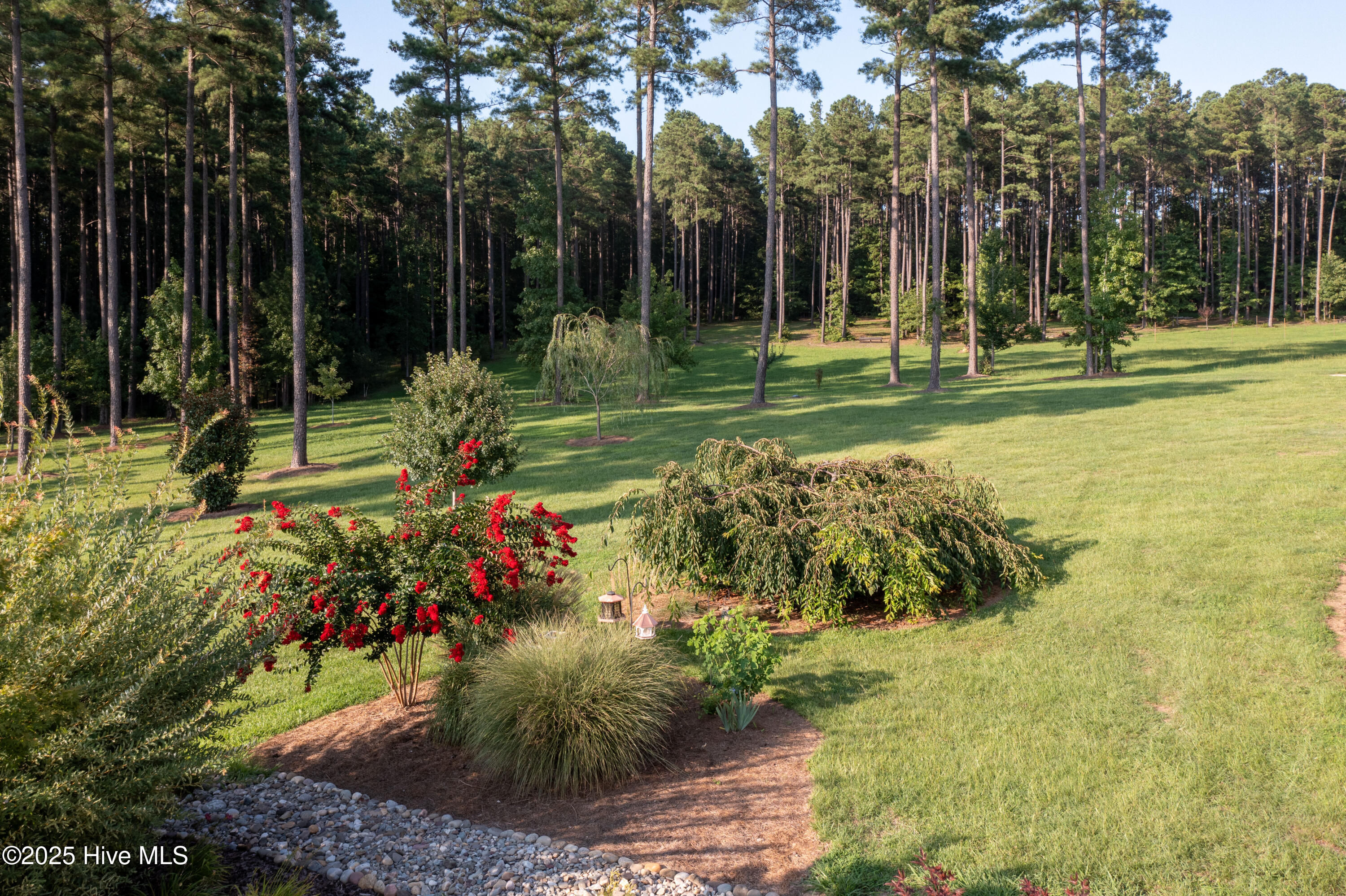 370 Bracken Hill Road Cameron, NC 28326 - Photo 58 of 67 DJI_0717-HDR