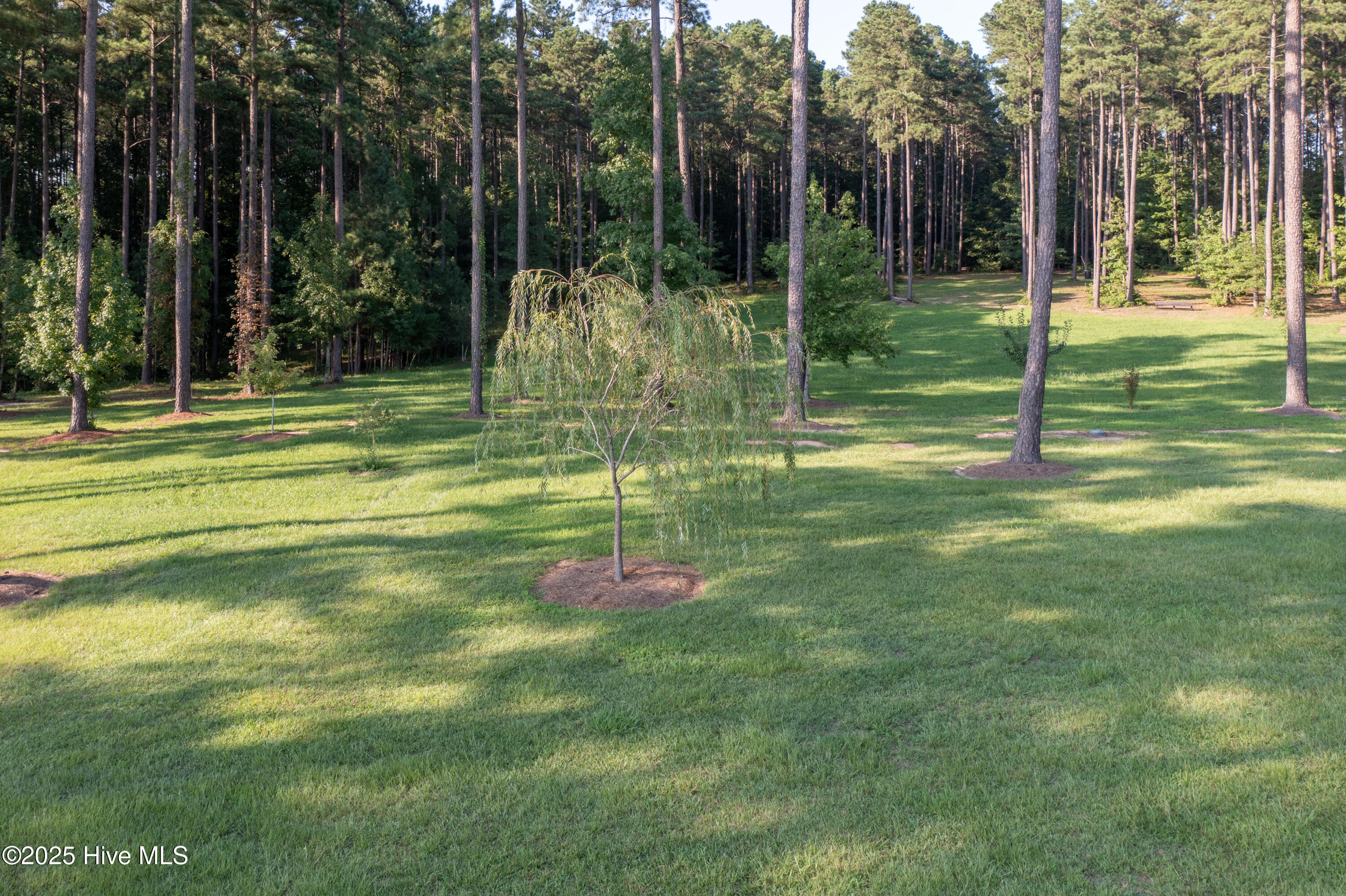 370 Bracken Hill Road Cameron, NC 28326 - Photo 59 of 67 DJI_0722-HDR