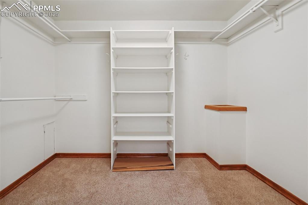 17580 Chipped Arrow Way Monument, CO 80132 - Photo 35 of 50 a view of an empty room with shelf