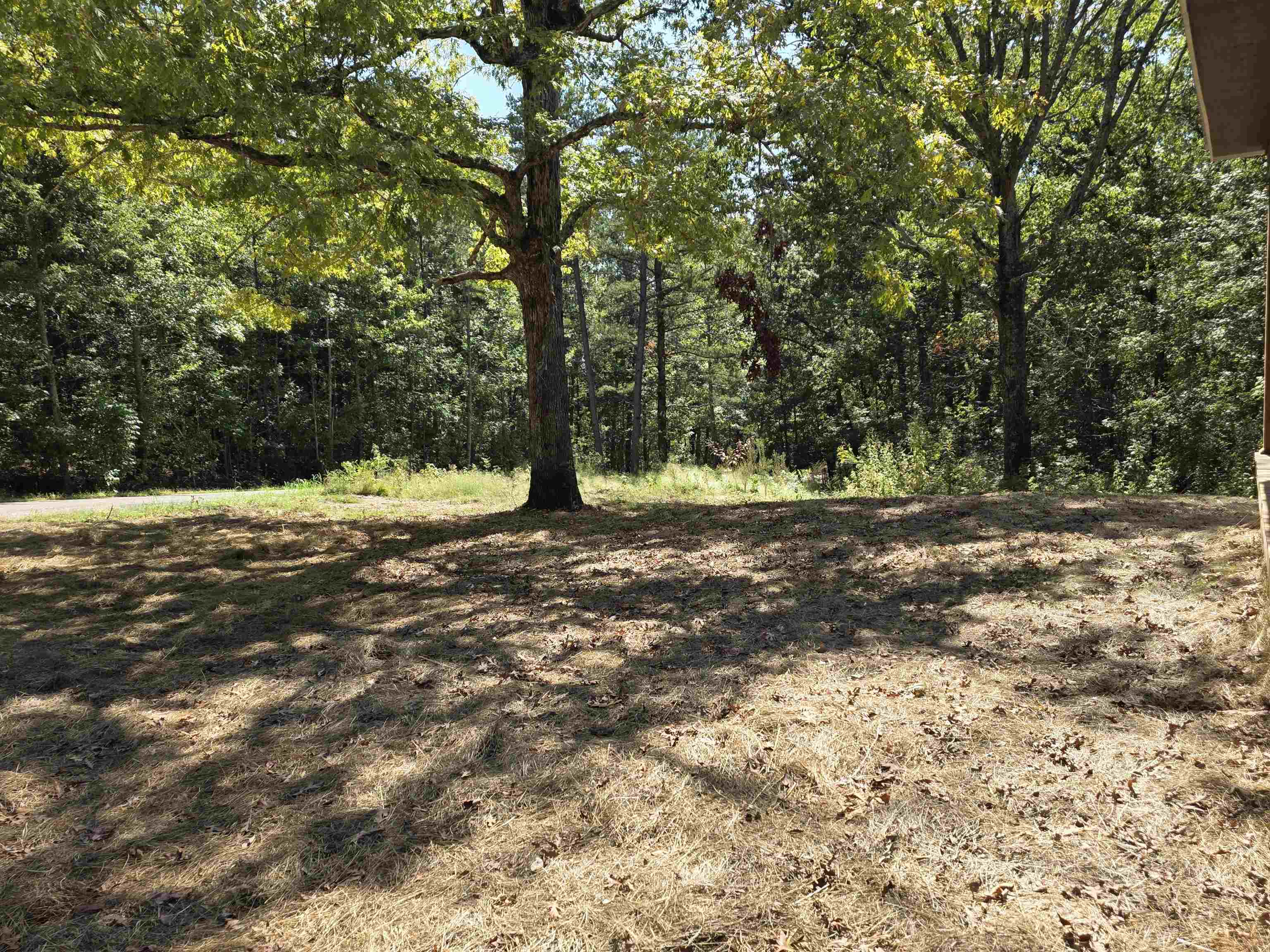 1020 Jade Road Savannah, TN 38372 - Photo 12 of 16 a view of outdoor space with trees