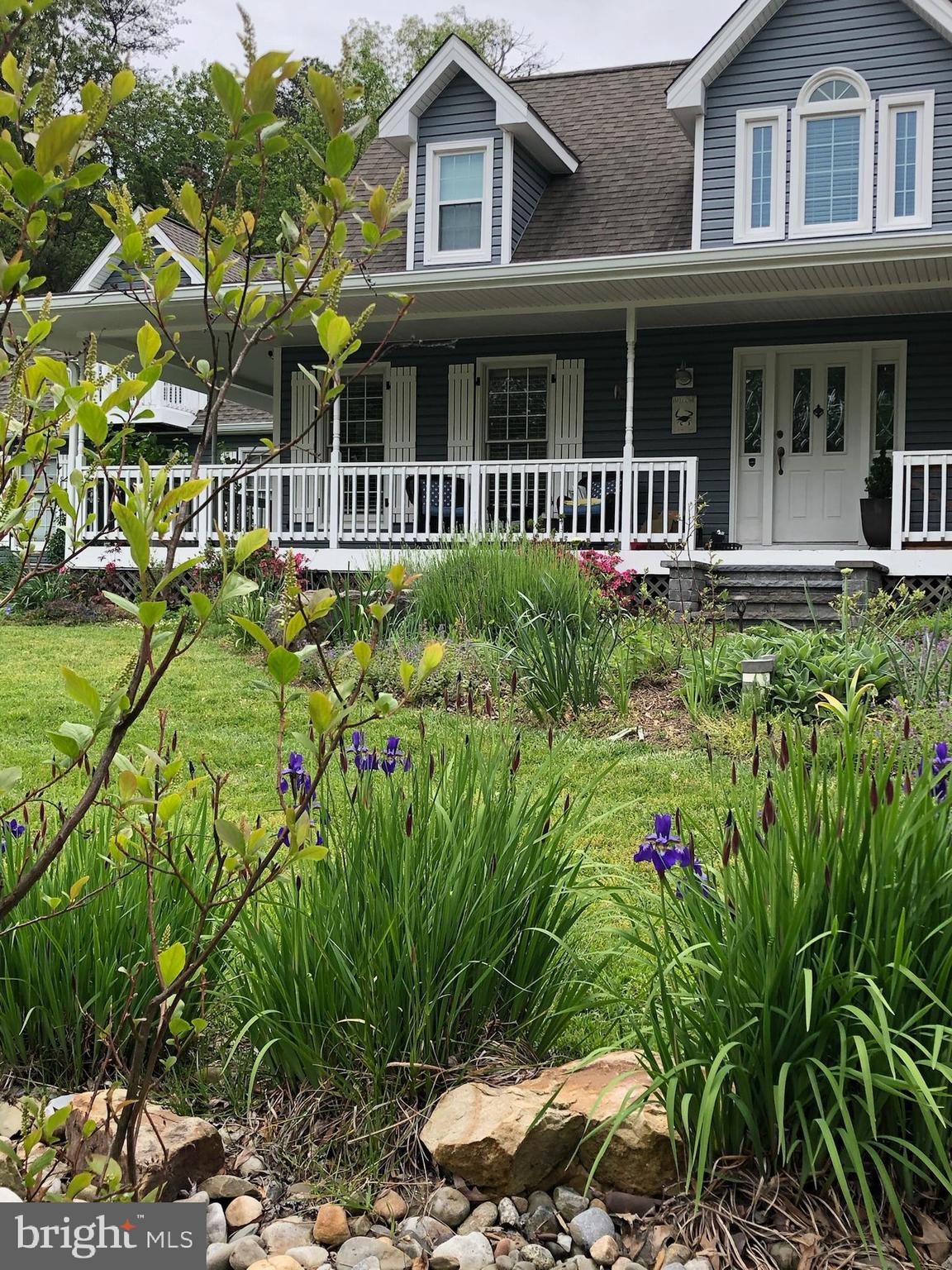 1631 Concordia Drive Pasadena, MD 21122 - Photo 39 of 53 Beautifully landscaped
