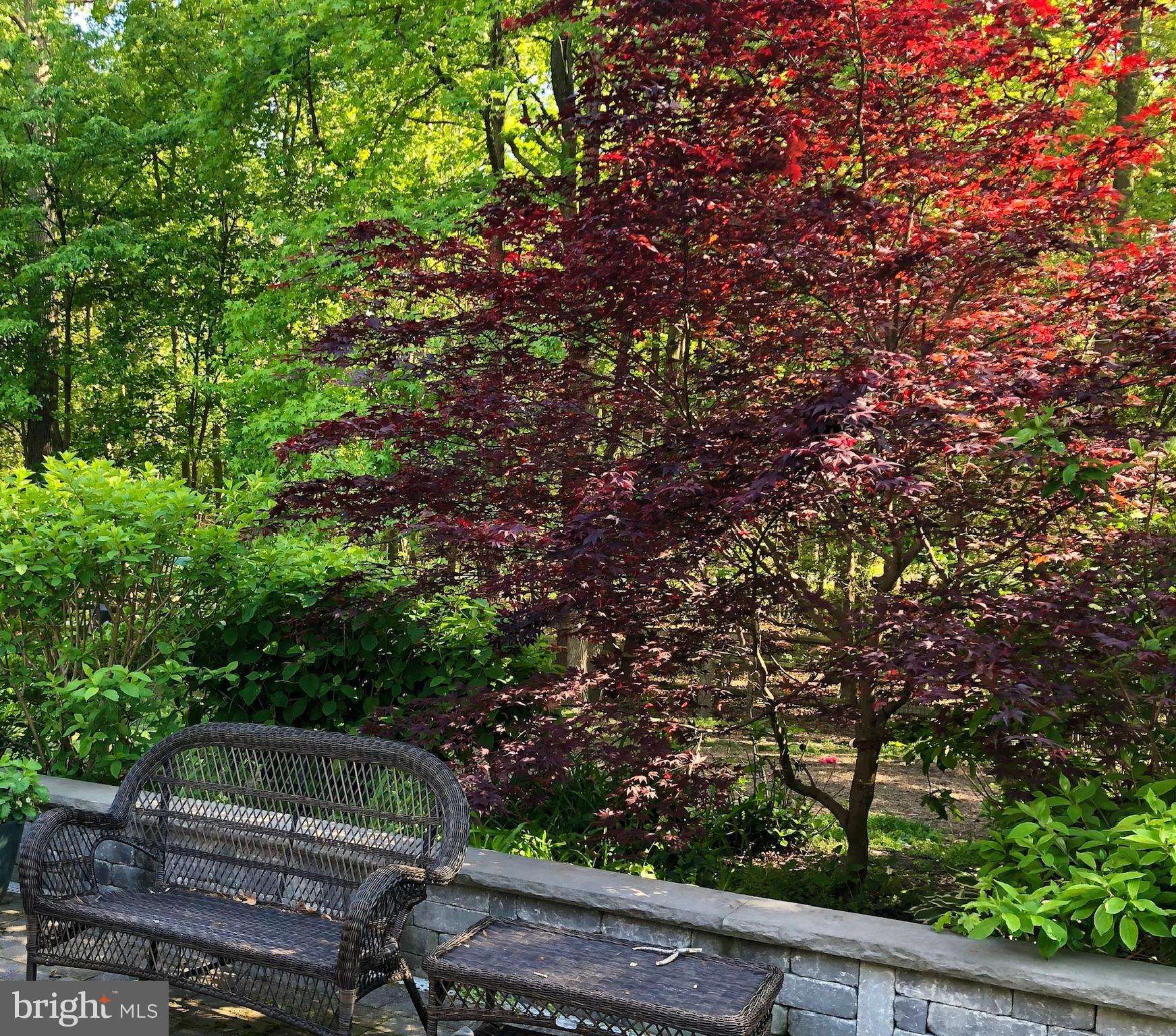 1631 Concordia Drive Pasadena, MD 21122 - Photo 42 of 53 Great color throughout your yard