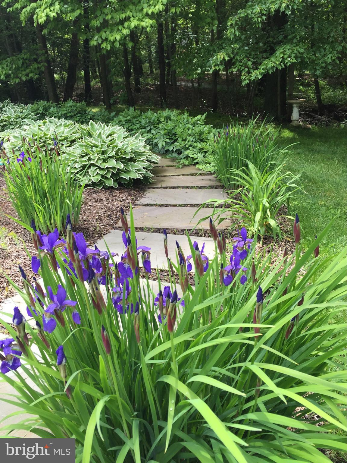 1631 Concordia Drive Pasadena, MD 21122 - Photo 50 of 53