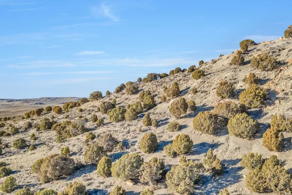 a view of a large building with wooden fence