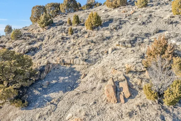 a view of a snow on the beach