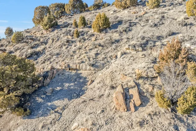 $899,000 | 2005 County Road 207, Craig, CO 81625