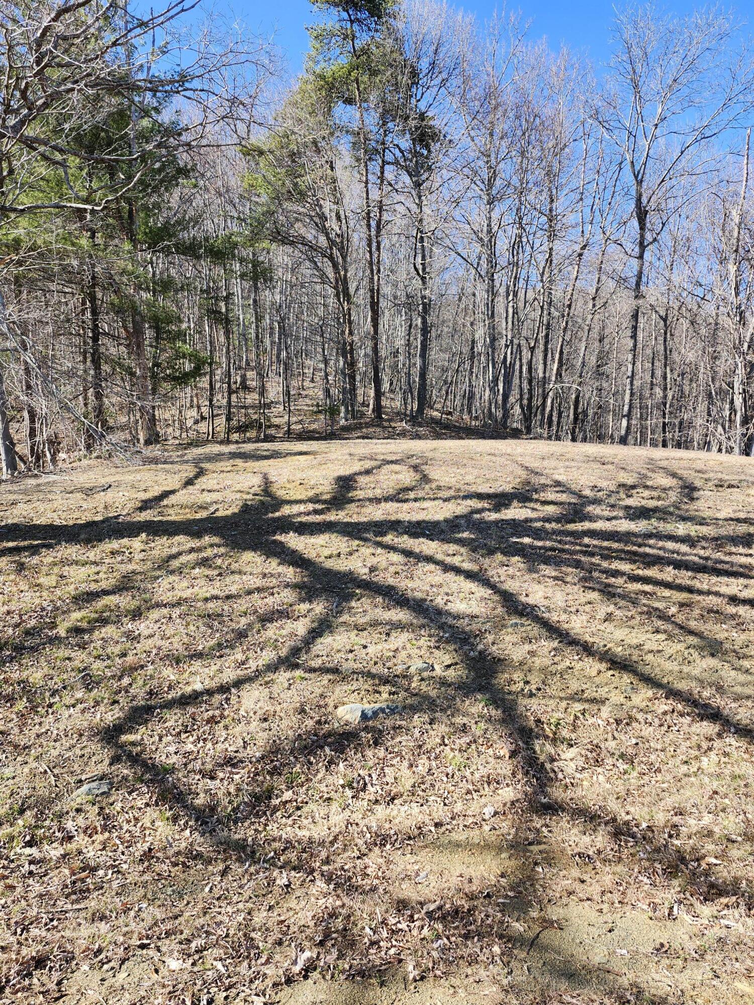1445 Griffith Hill Road Ferrum, VA 24088 - Photo 11 of 23 a view of large space with large trees