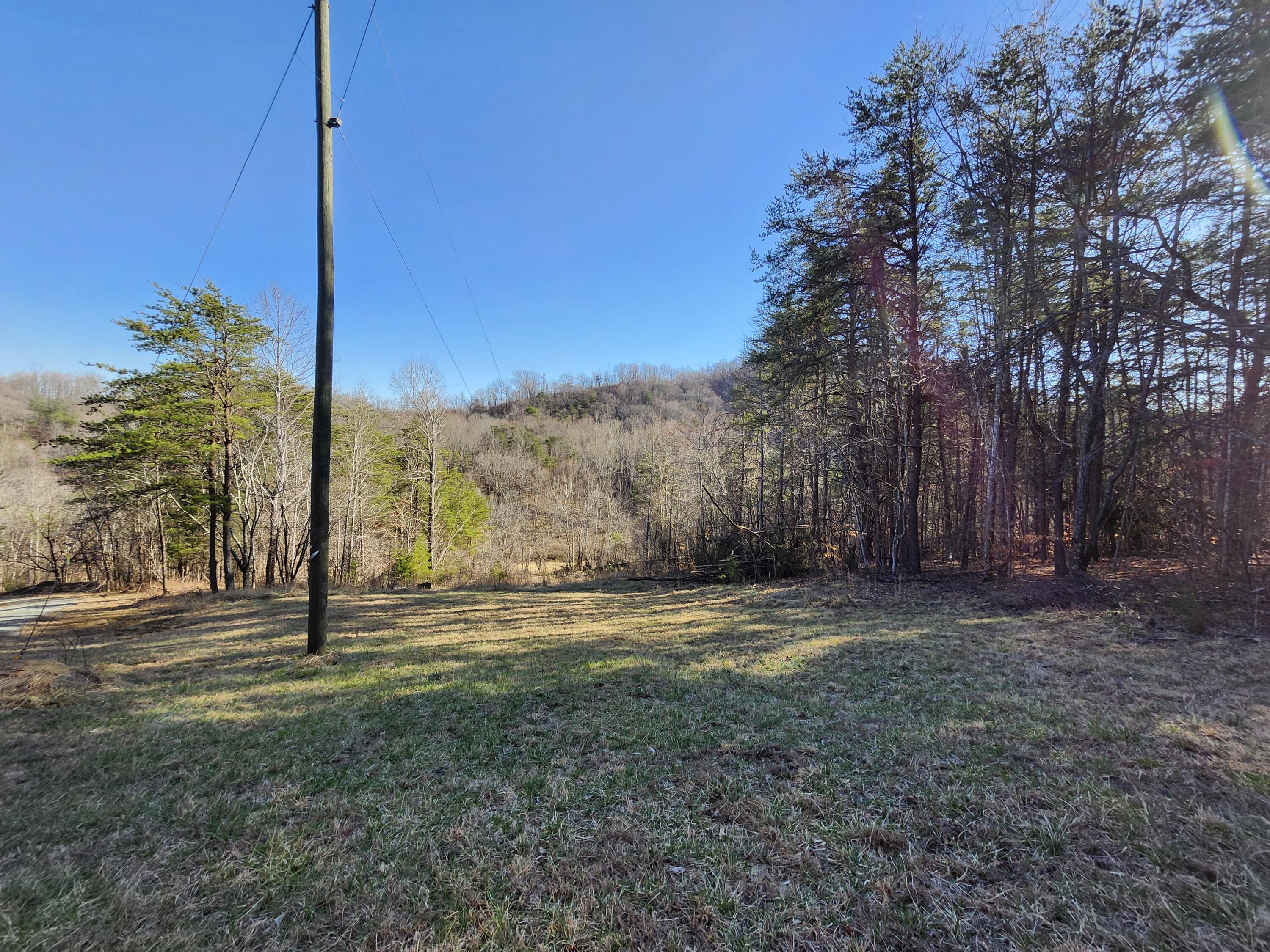 1445 Griffith Hill Road Ferrum, VA 24088 - Photo 16 of 23 a view of a park with large trees