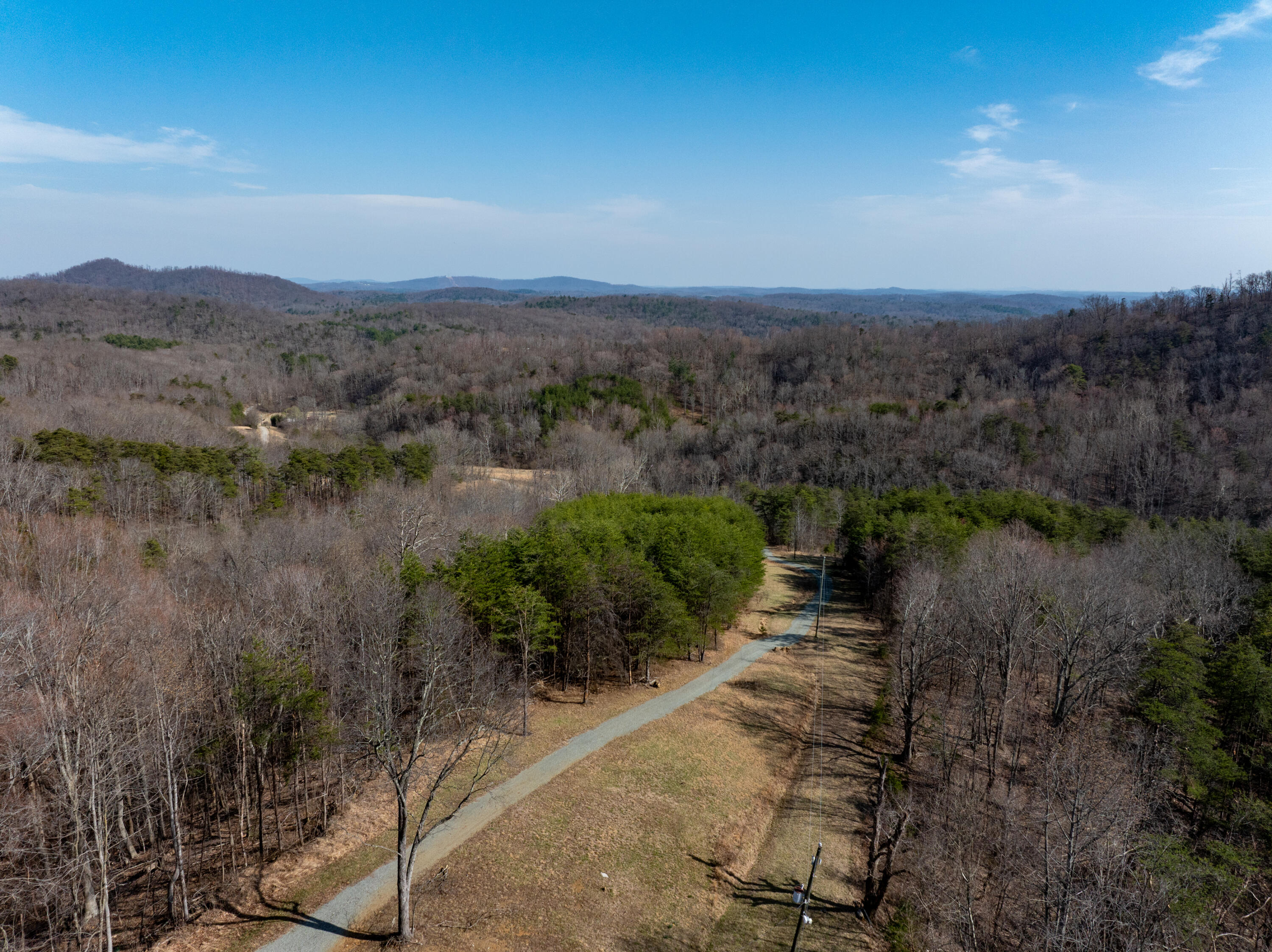1445 Griffith Hill Road Ferrum, VA 24088 - Photo 4 of 23 a view of a pathway with a yard