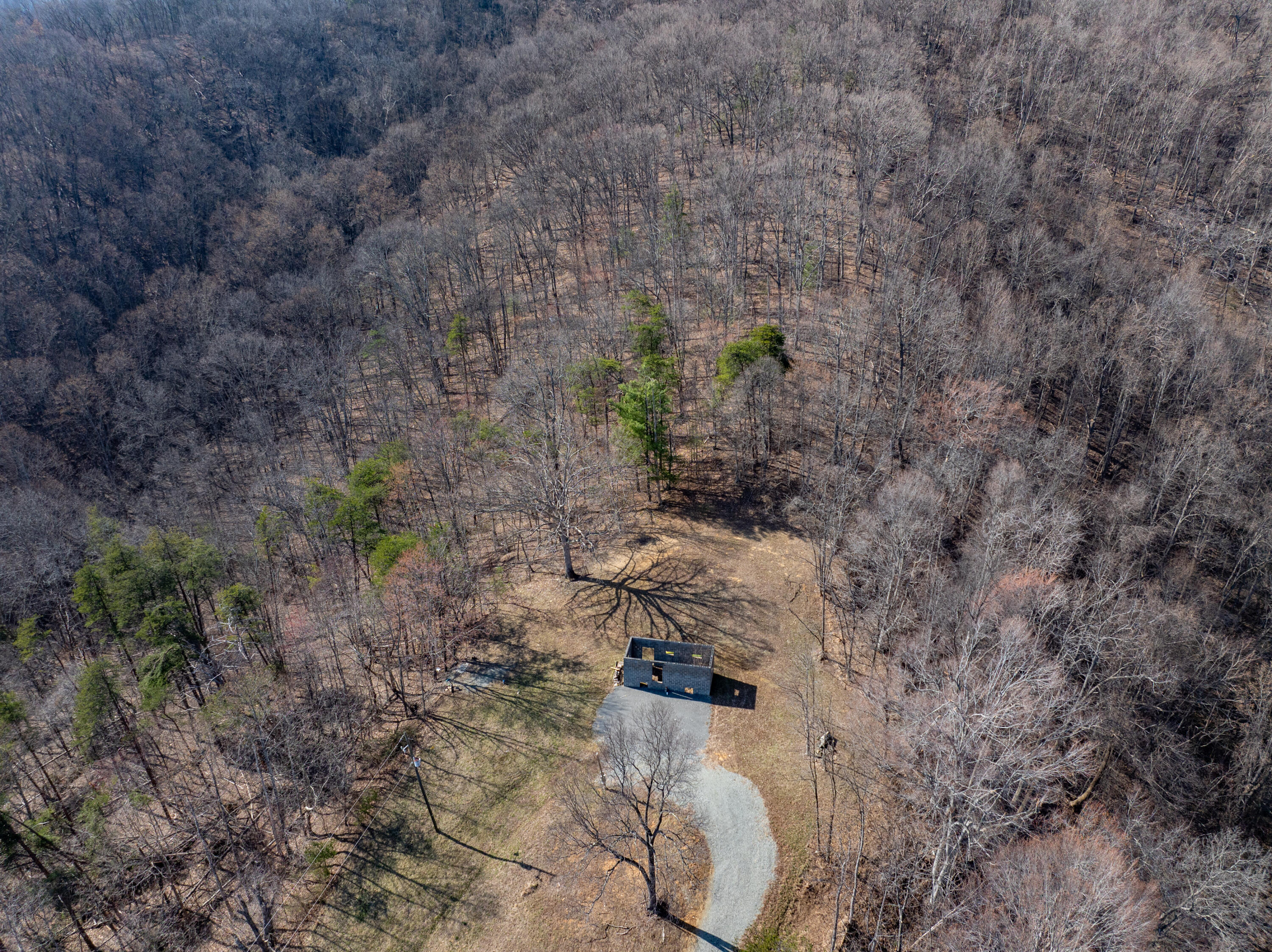 1445 Griffith Hill Road Ferrum, VA 24088 - Photo 5 of 23 a view of a dry yard in a forest