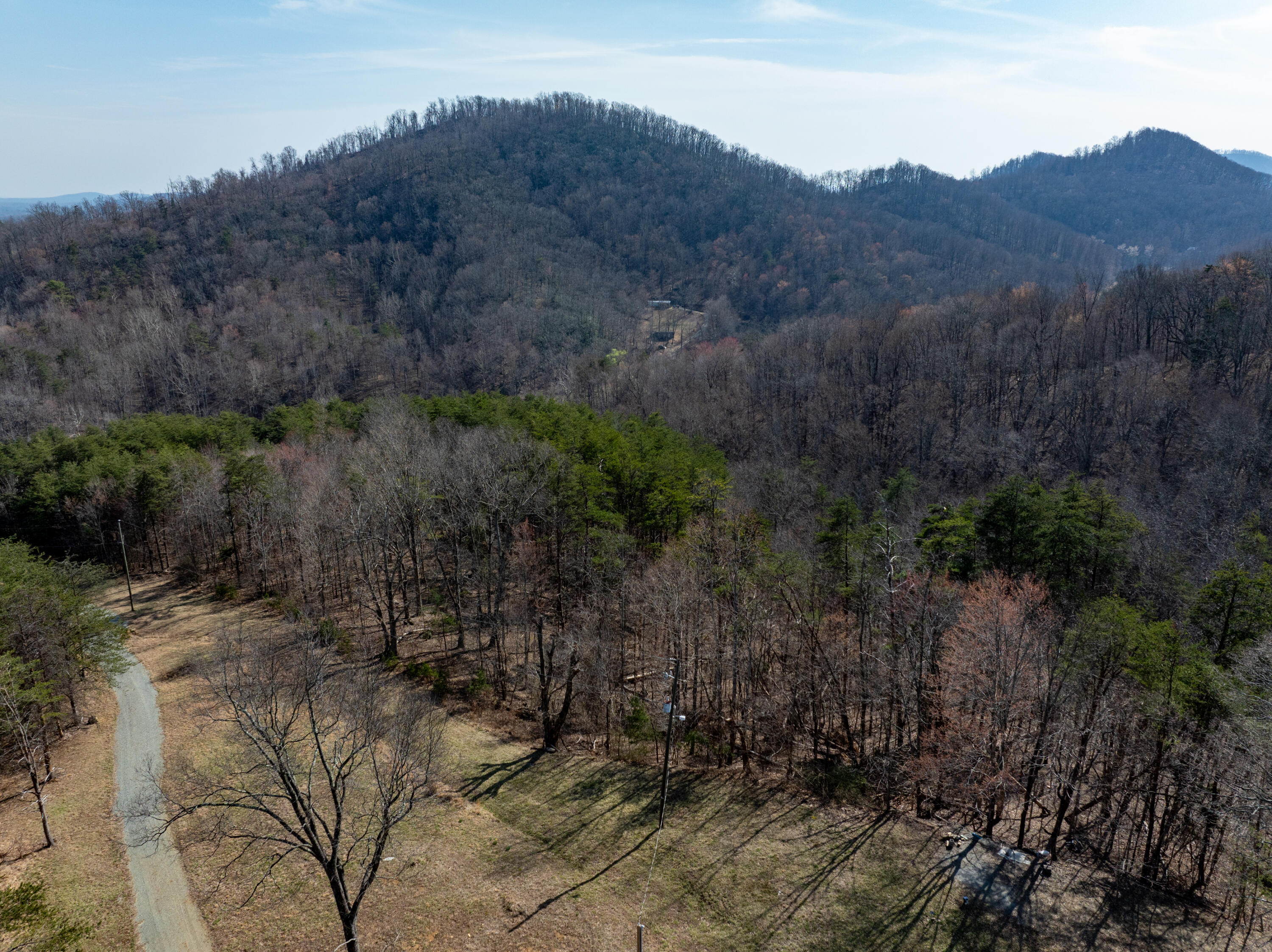 1445 Griffith Hill Road Ferrum, VA 24088 - Photo 6 of 23