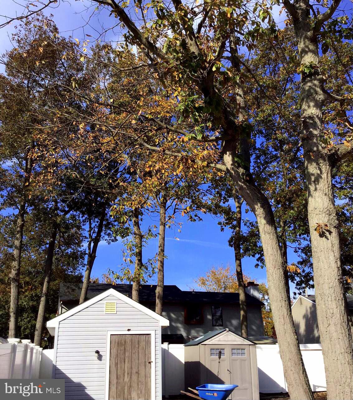 5 Vail Road Sicklerville, NJ 08081 - Photo 27 of 33 Backyard shed with electric