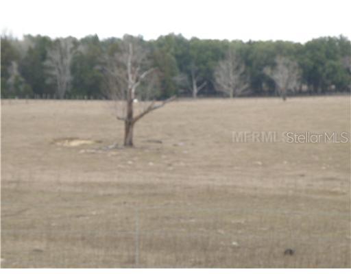0 Christian Road Dade City, FL 33523 - Photo 1 of 1 Land
