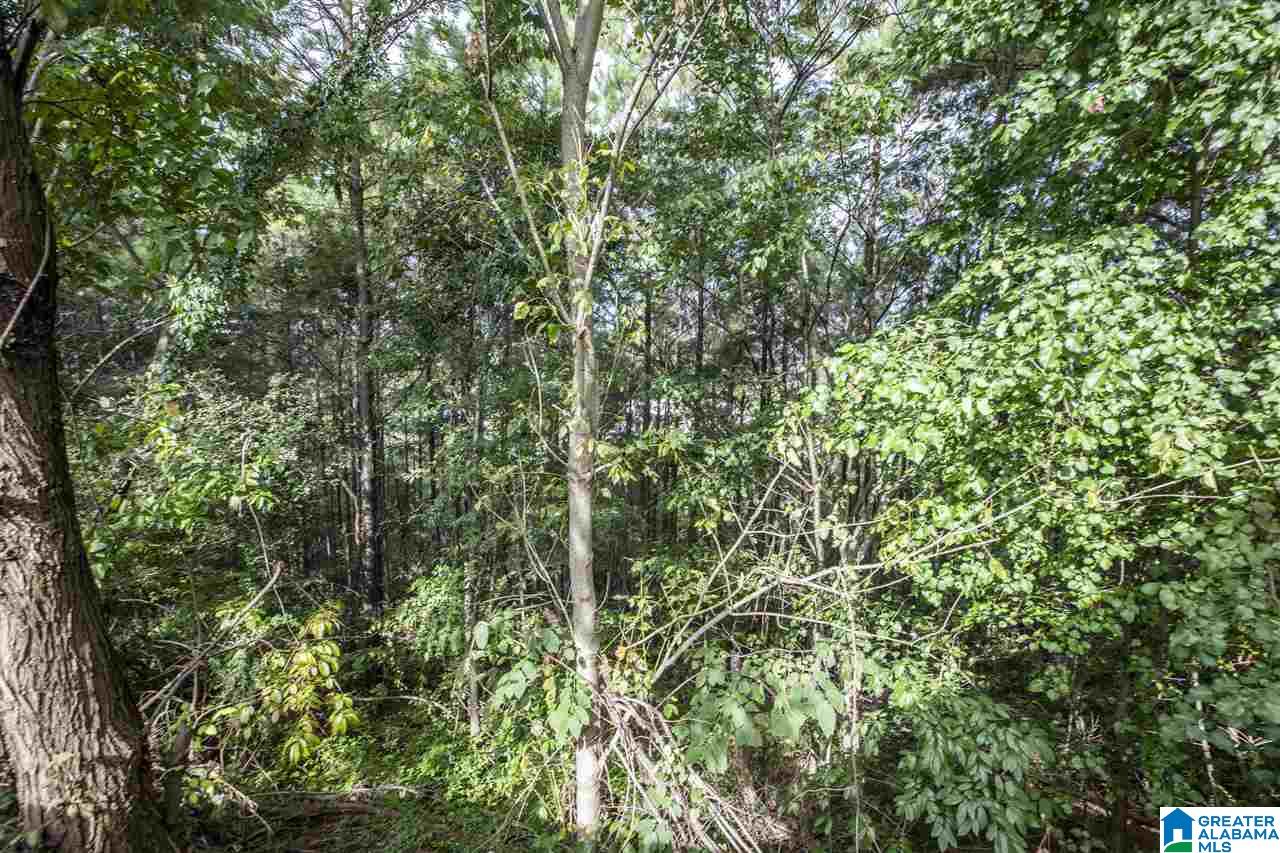150 Highview Cove Pelham, AL 35124 - Photo 26 of 30