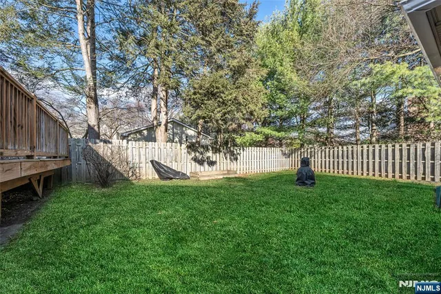 a view of a backyard with a small cabin