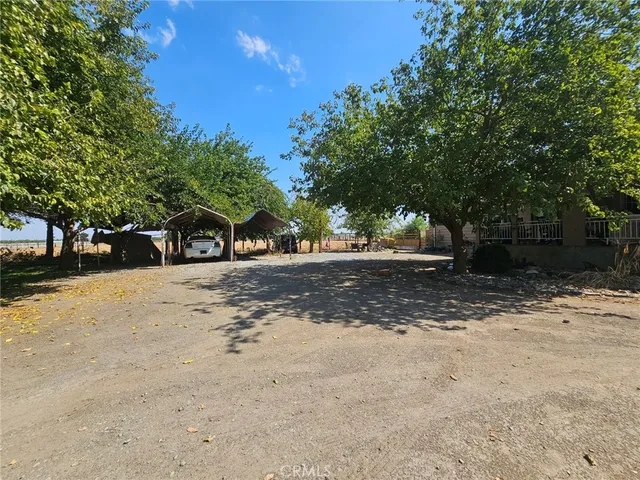 a view of a tree in a yard