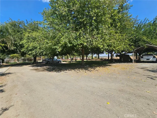 a view of a field with trees on a road