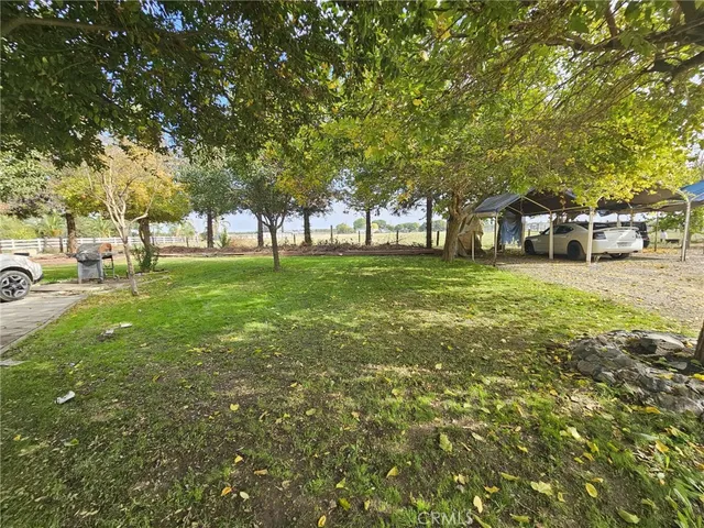 a view of a field with trees