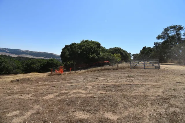 a view of outdoor space with trees all around