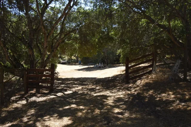 a view of outdoor space yard and trees
