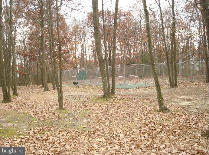 9005 Horton Road Laurel, MD 20708 - Photo 24 of 30 Community