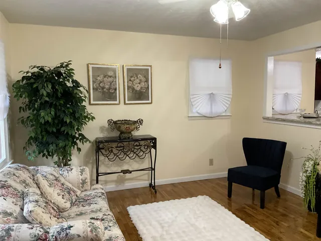 a bedroom with furniture and a potted plant