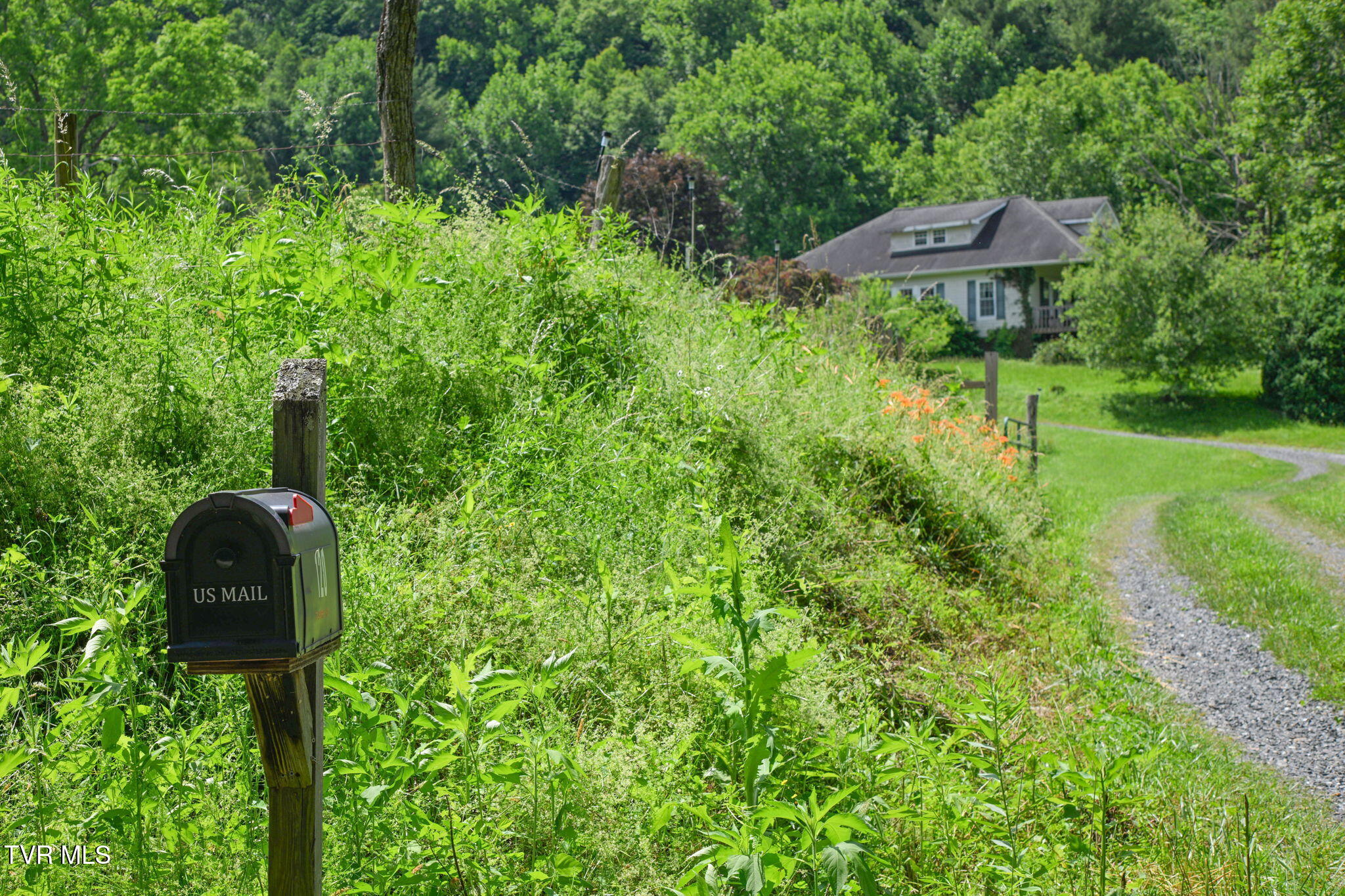 120 Teaberry Road Roan Mountain, TN 37687 - Photo 54 of 56 54-web-or-mls-EXT_4046