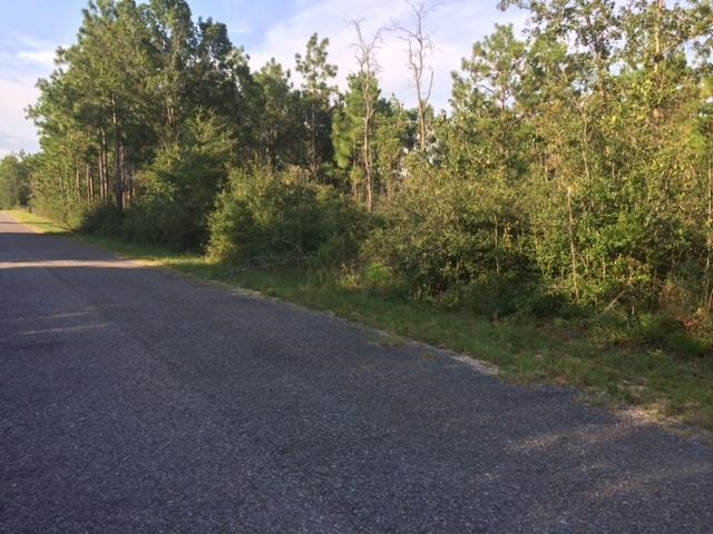 0 Deception Road Milton, FL 32583 - Photo 1 of 3 Gallery Image 1