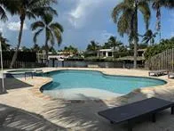 a view of a swimming pool with a lawn chairs under palm trees