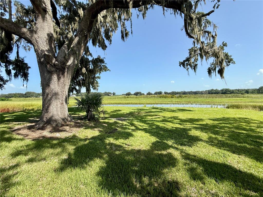 12030 Lakeshore Way Oxford, FL 34484 - Photo 21 of 38 a view of an ocean and beach