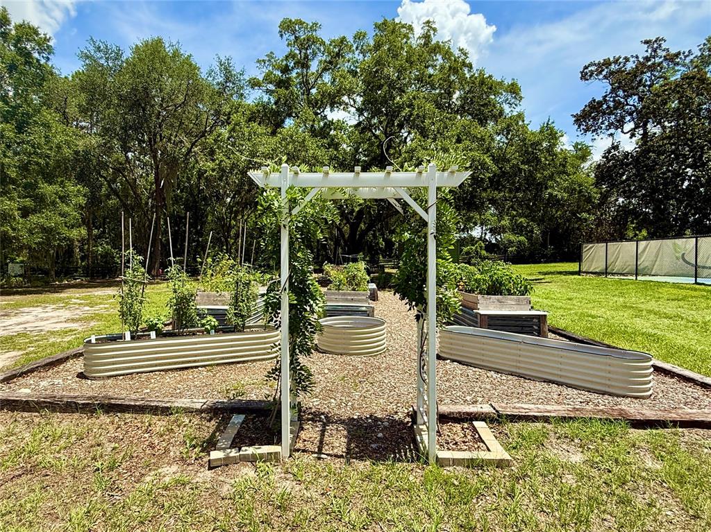 12030 Lakeshore Way Oxford, FL 34484 - Photo 28 of 38 a view of a park with large trees