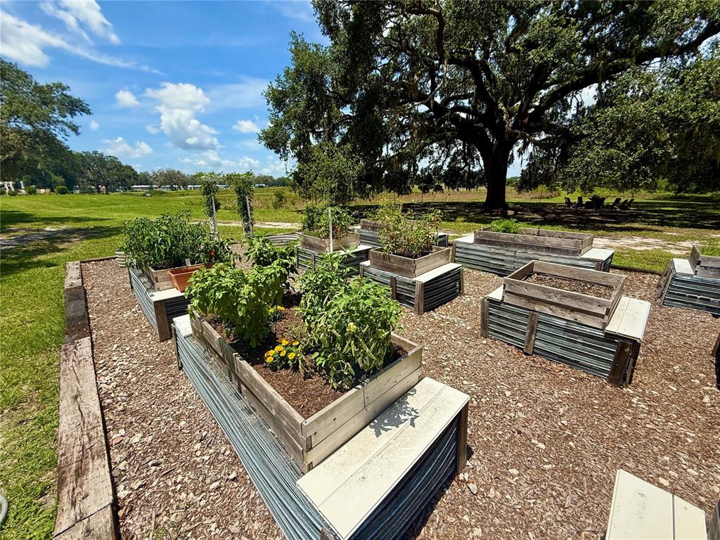 12030 Lakeshore Way Oxford, FL 34484 - Photo 29 of 38 a view of a garden with sitting area