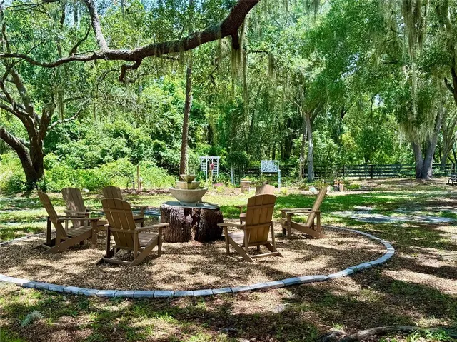 a view of a park with large trees