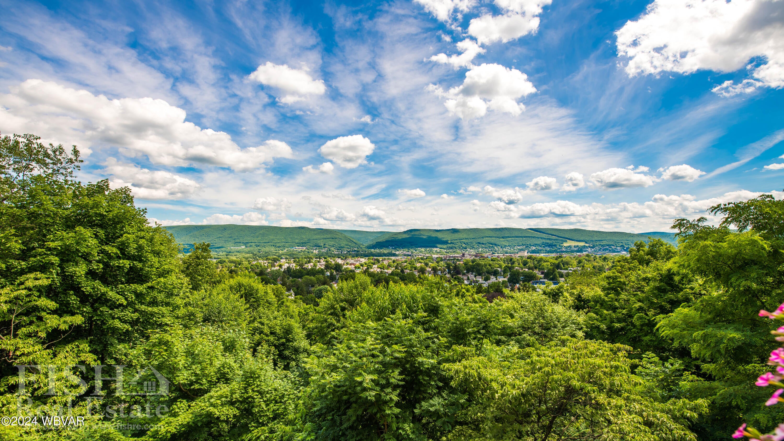222 Roderick Road Williamsport, PA 17701 - Photo 19 of 43 Views- Fabulous