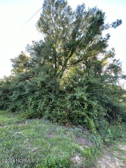 0 Point Caswell Road Willard, NC 28478 - Photo 4 of 6 Unknown-1