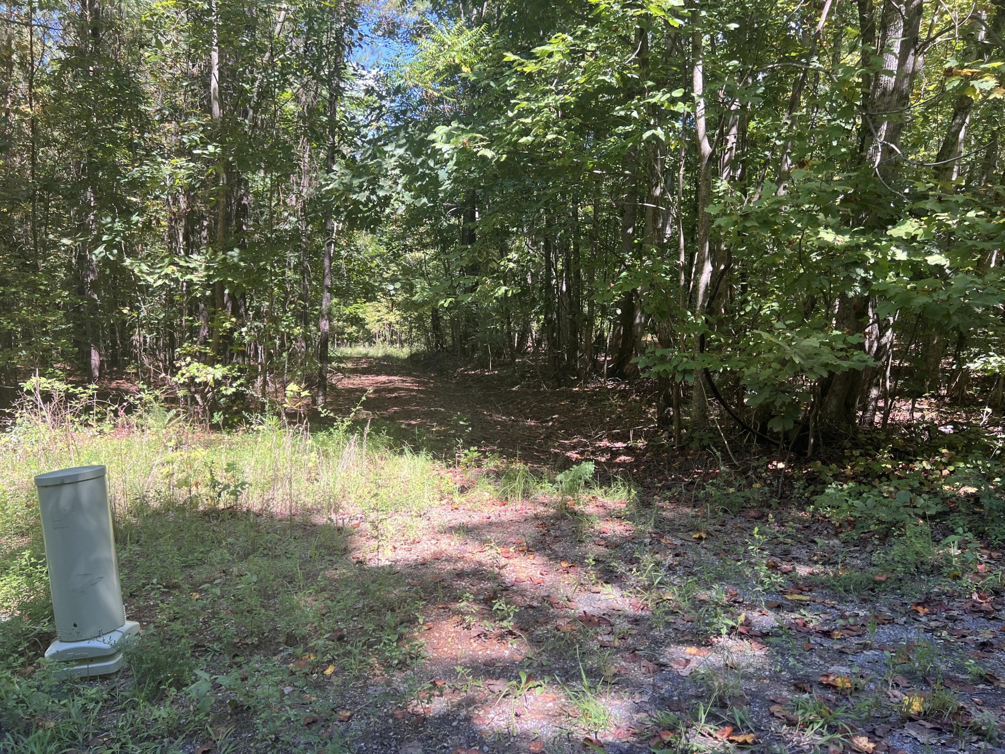 0 Lower River Road Decatur, TN 37322 - Photo 1 of 8 Gallery Image 1