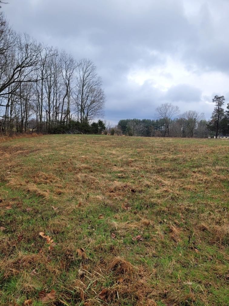 0 Goad Ridge Lane Pleasant Shade, TN 37145 - Photo 11 of 16 a view of an ocean