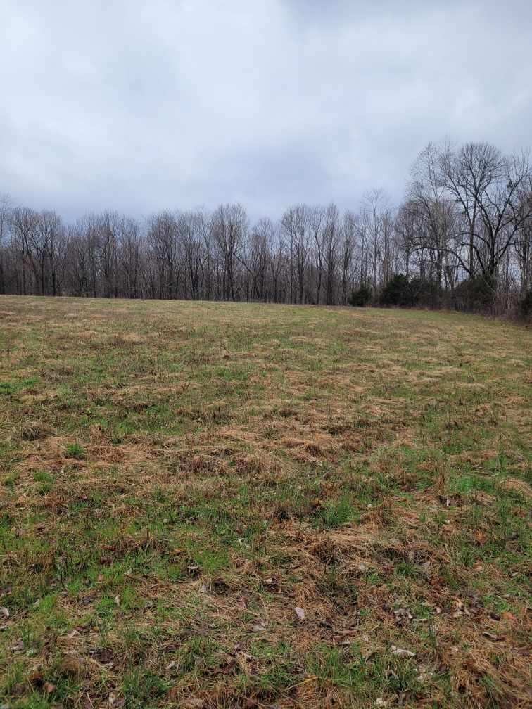0 Goad Ridge Lane Pleasant Shade, TN 37145 - Photo 13 of 16 a view of a yard