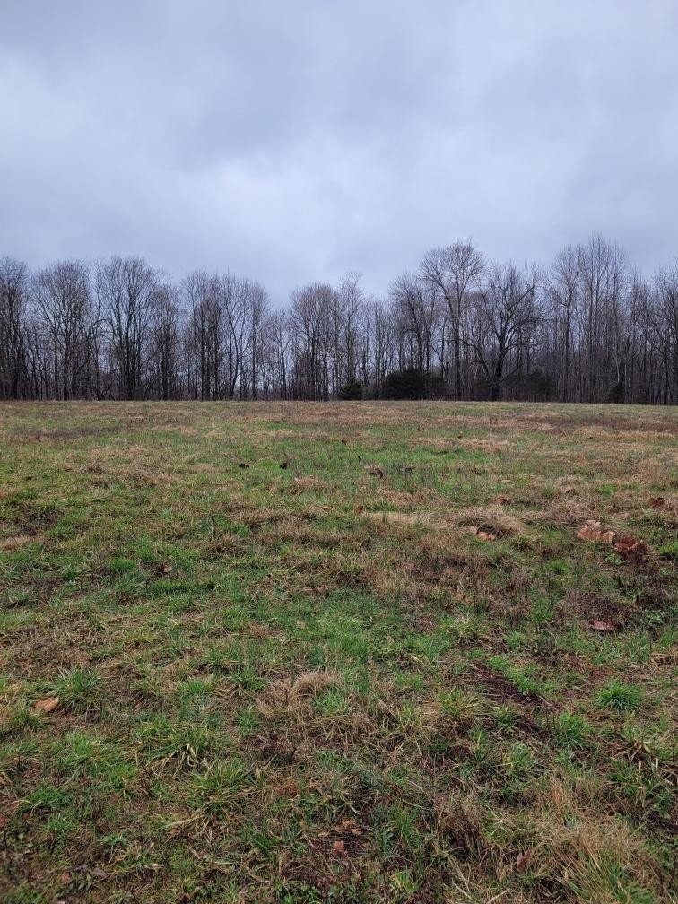 0 Goad Ridge Lane Pleasant Shade, TN 37145 - Photo 2 of 16 a view of a field with an trees