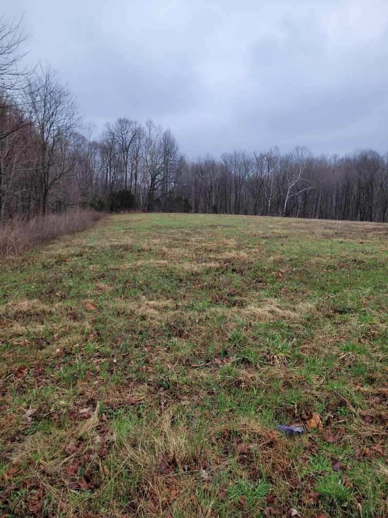 0 Goad Ridge Lane Pleasant Shade, TN 37145 - Photo 3 of 16 a view of a field with trees in background